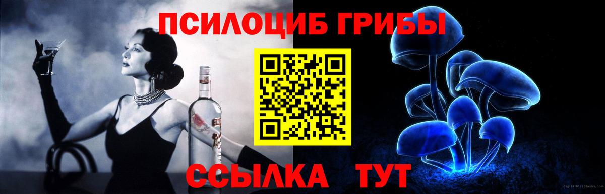 Коркино  Псилоцибиновые грибы Psilocybine cubensis  Псилоцибиновые грибы MAGIC MUSHROOMS  где купить   Вход с VPN 